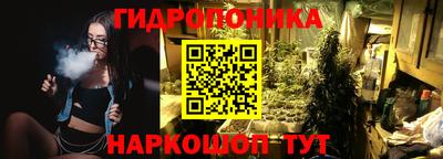 шишки Рязань